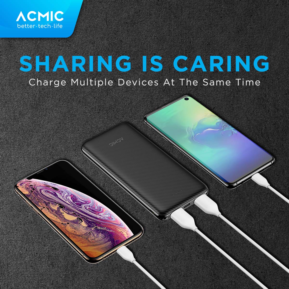 ACMIC C10e 10000mAh Slim PowerBank 12W Type C Fast Dual USB Charge